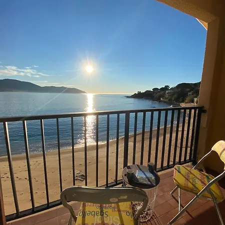 Appartement Studio Pieds Dans L'eau Tiuccia Casaglione